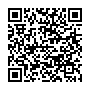 修为境界竟然已经踏入到了九星战师境圆满的地步二维码生成