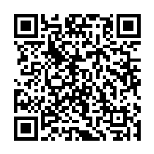 修为已经臻至无极境后期的雪护法和启护法赫然在列二维码生成