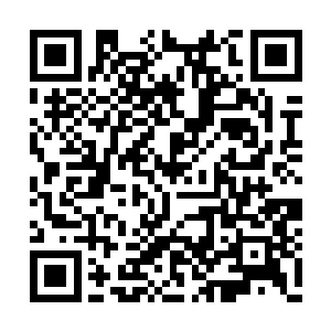 修为最好的也不过是与楚枫一样的八品武王罢了二维码生成