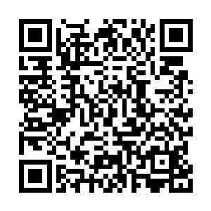 修为最高的也不过是元体九重的三等帝遗族弟子二维码生成