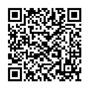 修为等级的压制让他们只能运起灵力勉强站立着二维码生成