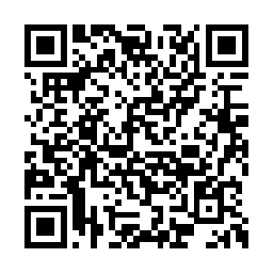 修为臻至此境的修者便可以真正做到的不老不灭二维码生成