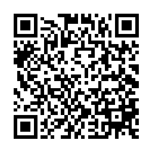 修之就权当我是为了一己之私想要在这里落地生根才要建造城关二维码生成