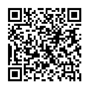 修士和仙士之间的差距不单单是上界与下界地域的差距二维码生成