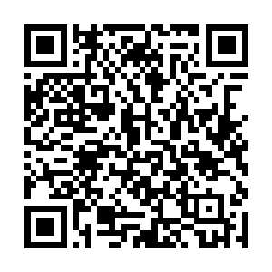 修士就是要不断提升才能到达一个更适合修炼的环境二维码生成