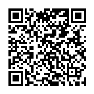 修理得格外细腻光洁的纤手给人一种非常舒适的美感二维码生成
