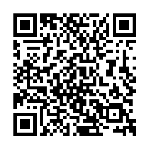 修真百艺会的越多好处杨晨自然要多准备一些了二维码生成