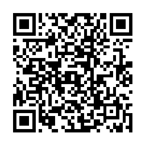 修罗主宰居然亲自参与了这一次灭杀神龙族的计划二维码生成
