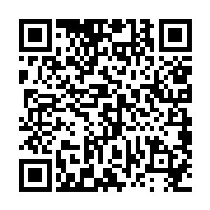 修罗帝这辈子还是第一次见做了坏事后如此理直气壮的人二维码生成