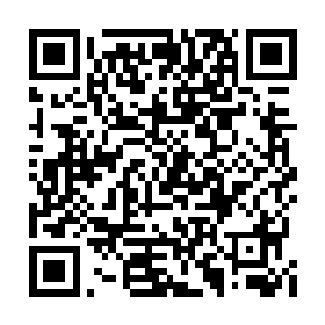 修罗星的灵智对天界的一些历史还是比较了解的二维码生成