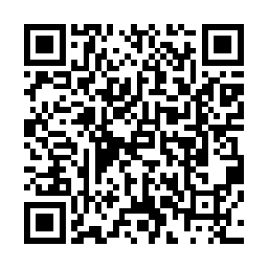 修罗星的灵智贪婪地看着我的脑海中那团微弱的青金色光芒二维码生成