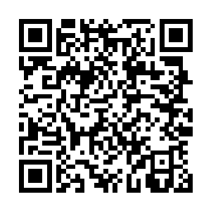 修罗等人都还没有达到圣榜的实力都还不能隐藏自己的气息二维码生成