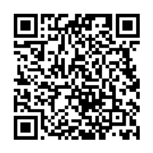 修罗黑影原本变得淡薄的身体也因为这些力量的注入二维码生成
