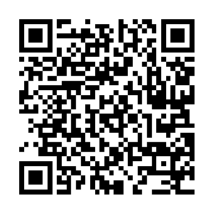 修罗黑影是由那些环绕在修罗星上方的黑色雾气组成的二维码生成