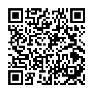 修罗黑影满意地感应着涌入自己体内的磅礴力量二维码生成