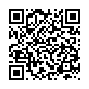 修者不可能替代数十上百种的材料二维码生成