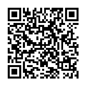 修者与武者只是人在修炼的道路中逐渐分化出的两条路二维码生成