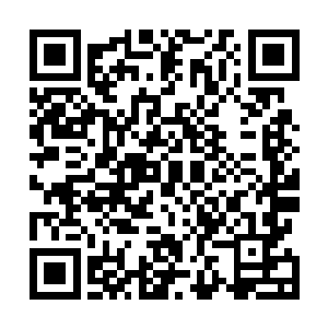 修行的速度和极限也都会受到影响……林鹊放下这句狠话二维码生成