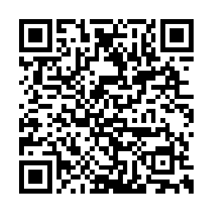 修长的手指捏着镊子一开始一点点轻点伤口外围二维码生成