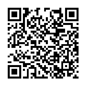 修长的指优雅得拿起了一个银质的勺子递给了苏嫣二维码生成