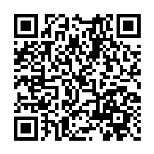 俺们老底子最多的汴梁新军中军就要率先出汴梁二维码生成