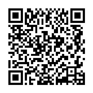 俺其实循份守己得跟娘们儿似的…………这得多大的胆子二维码生成