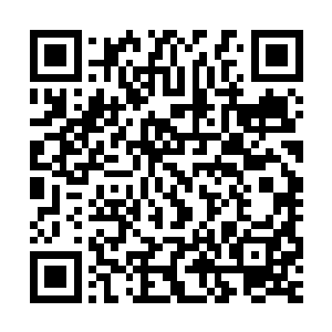 俺小时候挨打都是站在原地挨着~所以牛老妈每每气的多大几下~o二维码生成