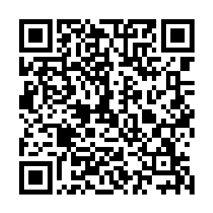 俾斯麦想要直接聘任石达开但是当时普鲁士军事学院的教授二维码生成
