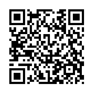 倒不如干脆坦坦荡荡的陪洪大力疯一把二维码生成