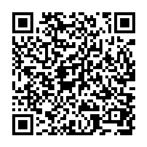 倒不如来这里守株待兔……谁让这附近有三所大学的女生也有不少姿色出众的呢二维码生成