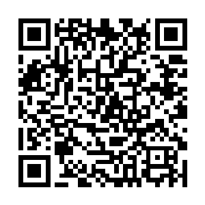 倒不如让人鱼们感觉他们这批新来的邻居比起攻击性二维码生成
