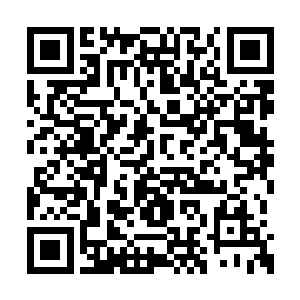 倒不如说是专门为了培养强者而建立的残酷世界二维码生成