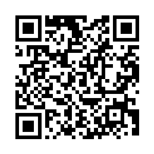 倒不如说是好像在看一只猫发神经二维码生成