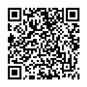 倒不如说是本能寻找着可以推卸责任的替罪羔羊二维码生成