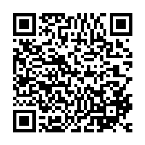 倒不如说这是一座有着神圣宗教那样虔诚到令人感到可怕的殿堂二维码生成