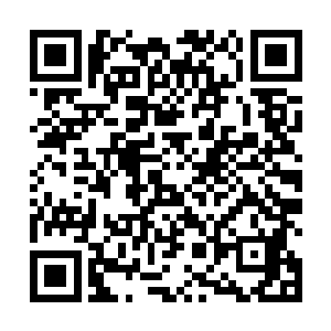 倒不是没有办法用另一种方式来取代乾元虚灵果的效果二维码生成