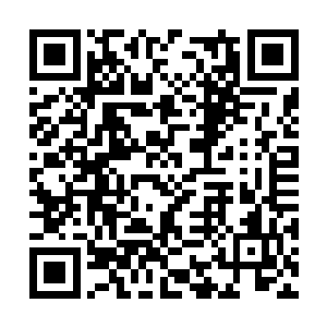 倒也让他对这个来历有些神秘的女人多了几分好奇二维码生成