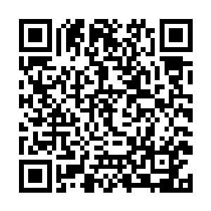 倒像是一名正坐在赛车残骸里熊熊燃烧的地下赛车手二维码生成