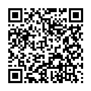 倒出一粒香气四溢的丹药丢入灵宝蓦然长大的嘴里二维码生成