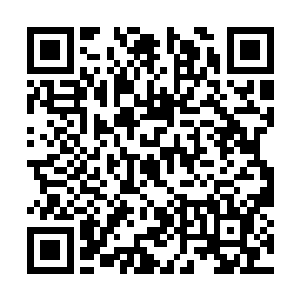 倒在地上还起不来的罗宾川却是无望的闭上了眼睛二维码生成