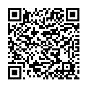 倒地刚起的红甲身边一圈有三十六柄桃木剑破土而出二维码生成