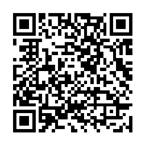 倒无没料到马家军的援兵竟然如此快的进入了城内二维码生成