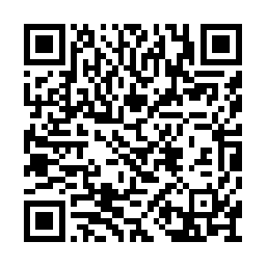 倒是上元盟和九大宗门各自给了我一些极品仙晶二维码生成