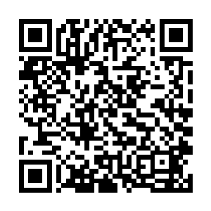 倒是与他从冰块中弄出来的那只小翼龙有部分相似点二维码生成