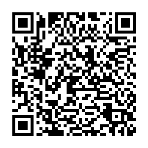 倒是两个小家伙在速度有那么一些快的扶梯上面感觉有那么一些紧张二维码生成