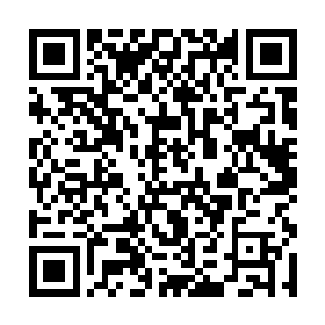 倒是众官校弟兄七嘴八舌的冲着陈二黑和蒋麻子叫骂二维码生成