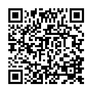 倒是你这个家伙……可别拉下脸去耍赖阴这几个小玩具二维码生成