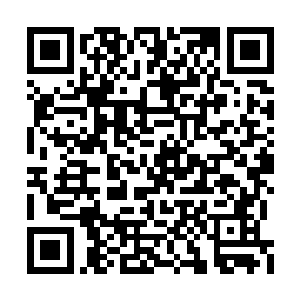 倒是便宜了其他对我羿界域虎视眈眈的界域势力二维码生成