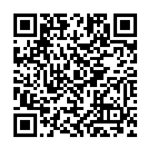 倒是原本这座宫殿中的四海宫两位宫主却都正襟危坐二维码生成