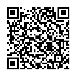 倒是只有圣级一层的许琴扬此时已经化作了一片血云二维码生成